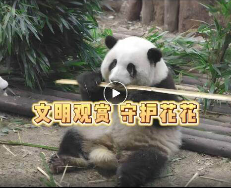 QQ截圖20231215155839_副本.jpg